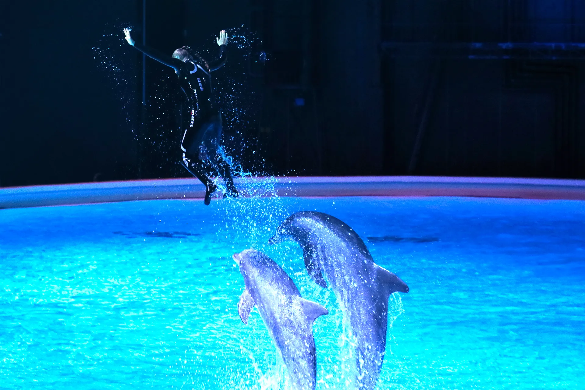 Delfin